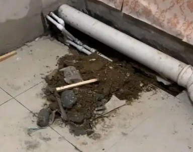 凤凰卫生间漏水检测哪家好